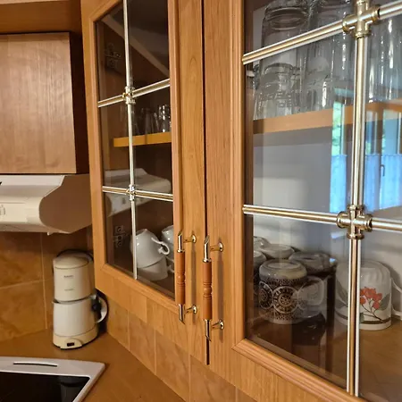 Nevesta Hol Pod Chopkom 山林小屋 Bystrá