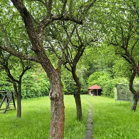 山林小屋 Nevesta Hol Pod Chopkom Bystrá