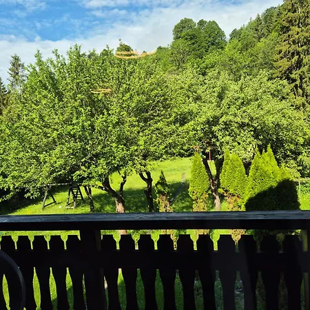 Nevesta Hol Pod Chopkom 山林小屋